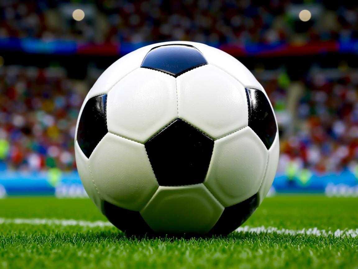 九游娱乐在线-“高新体育中心武术比赛：看选手如何在短短数秒间决胜负”  第3张