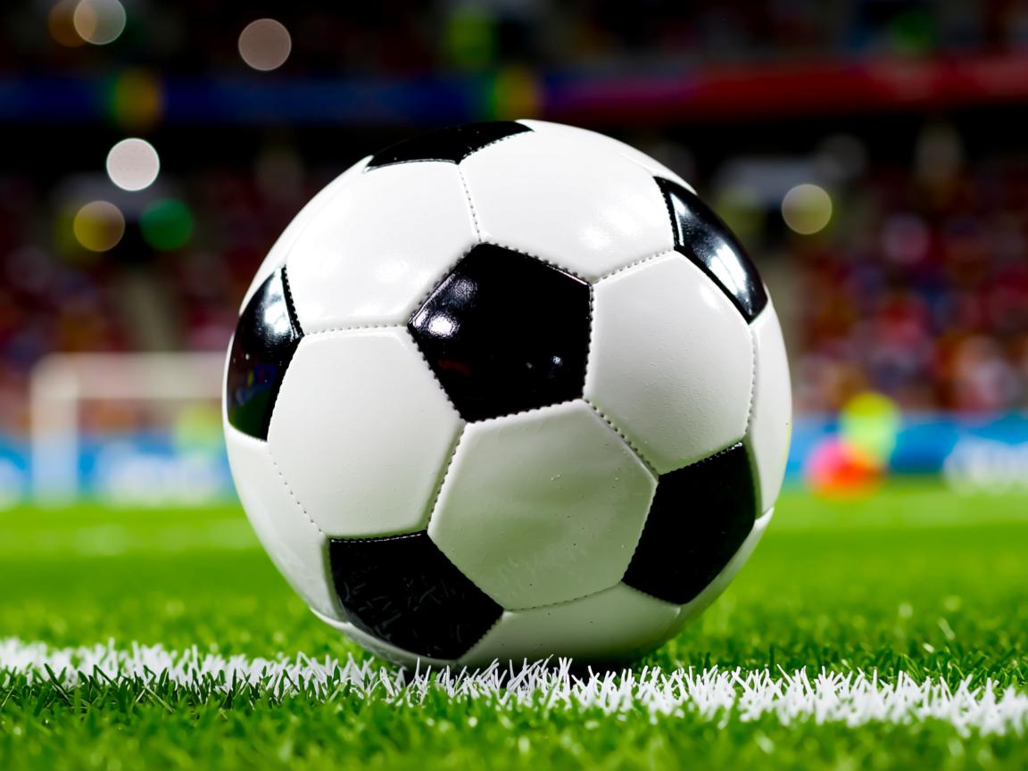 九游体育下载-乒乓球胶皮革命:控制更强,速度更快,乒乓球胶皮的性能 第2张